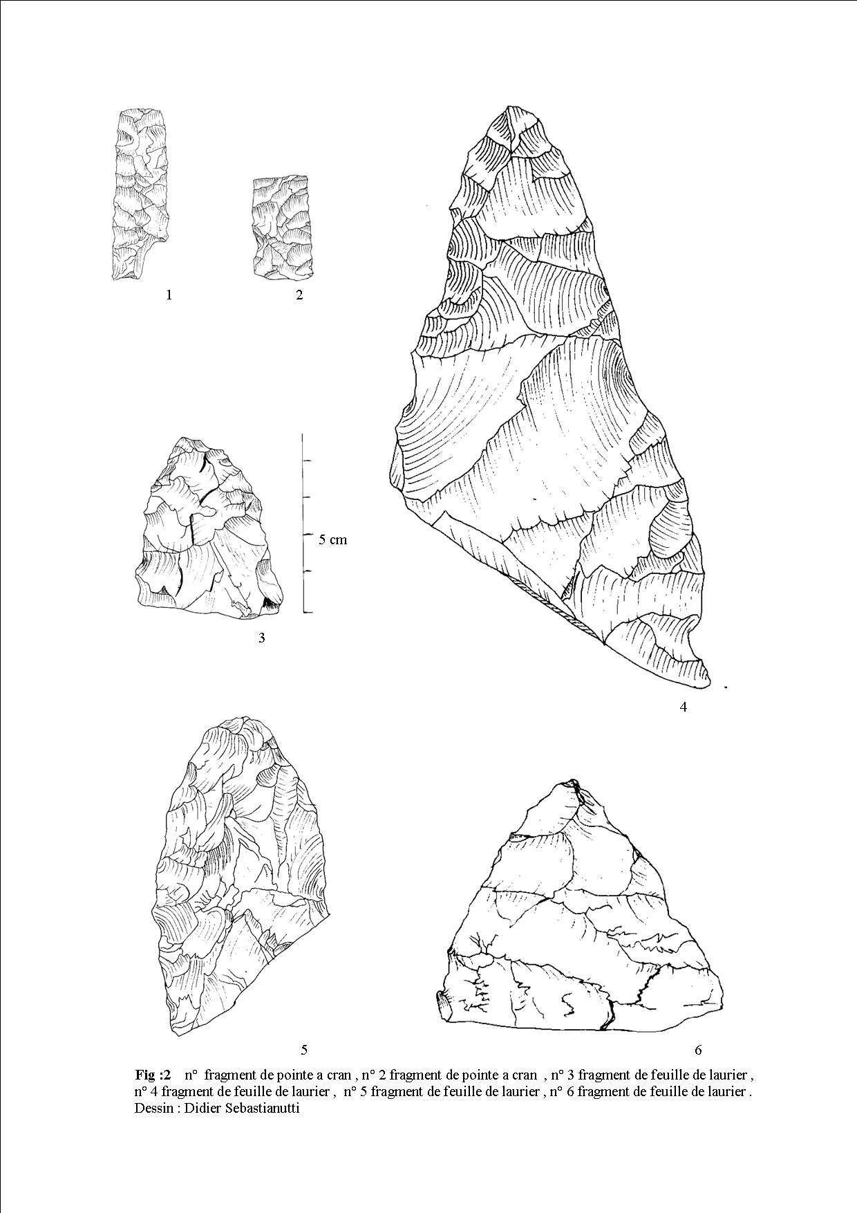 Composition feuille laurier 1.jpg