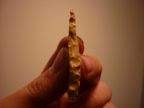Détail de retouches abruptes de pointe de la Gravette (Cote Châlonnaise^,Saone et Loire ) coll...Néandertaurus
