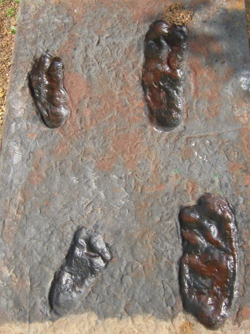 Empruntes de pas (Australopithèque Afarensis)