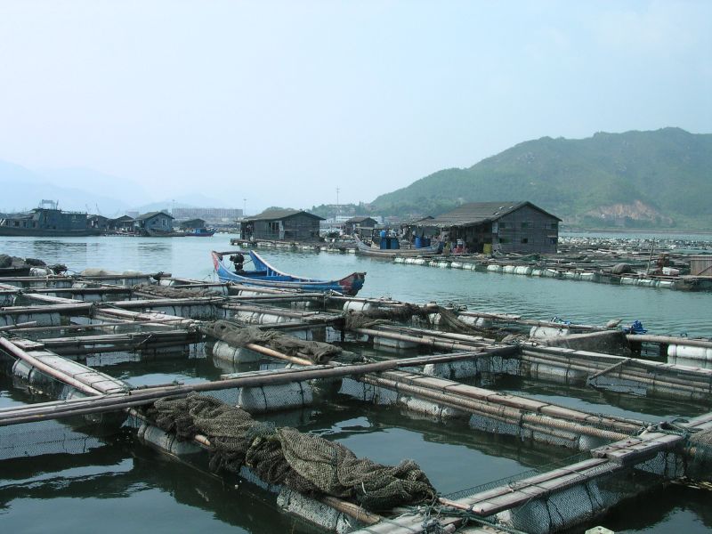 Aquaculture_in_Lo-nguong.jpg