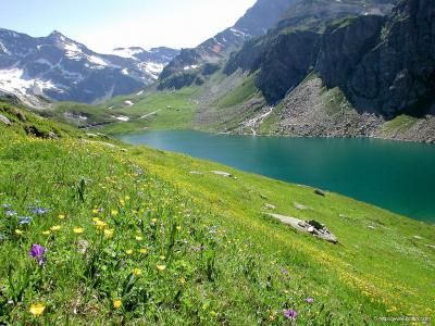 Lac et verdure