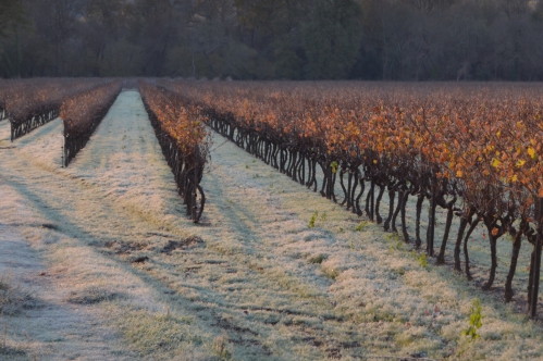 NOV 2013 a classer 017.jpg
