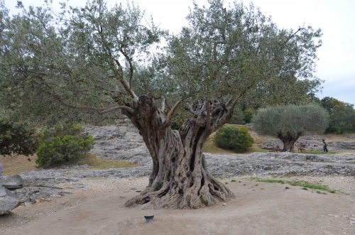 22 avril 2014 194.jpg