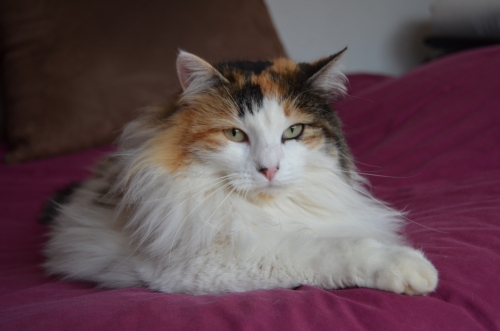 DSC_0017.JPG