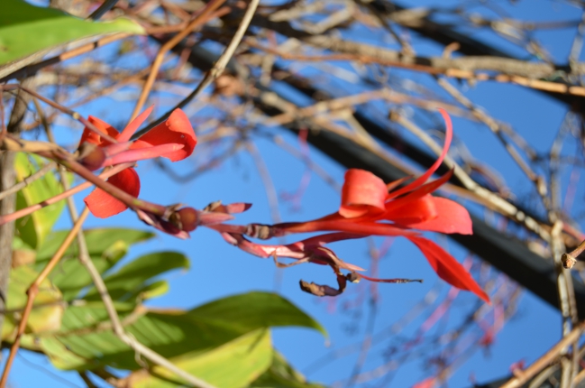DSC_0005.JPG