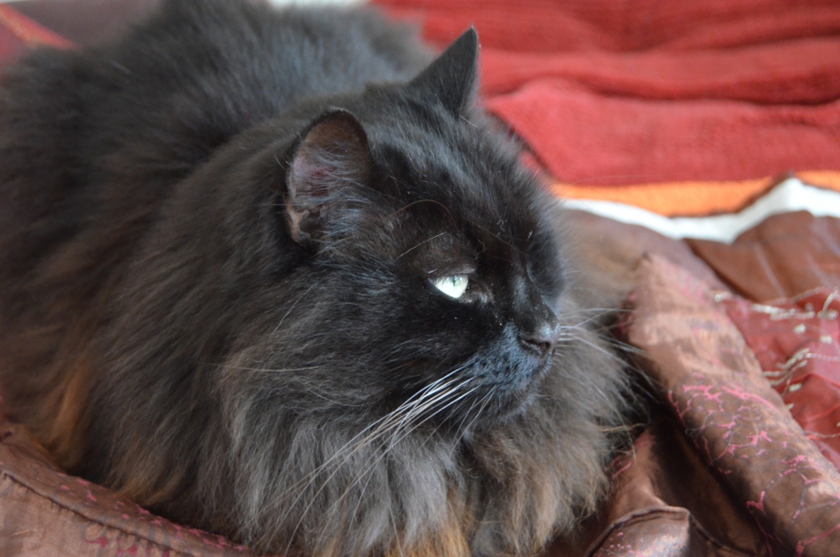DSC_0025.JPG