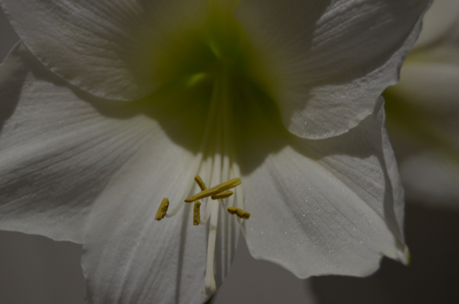DSC_0080.JPG