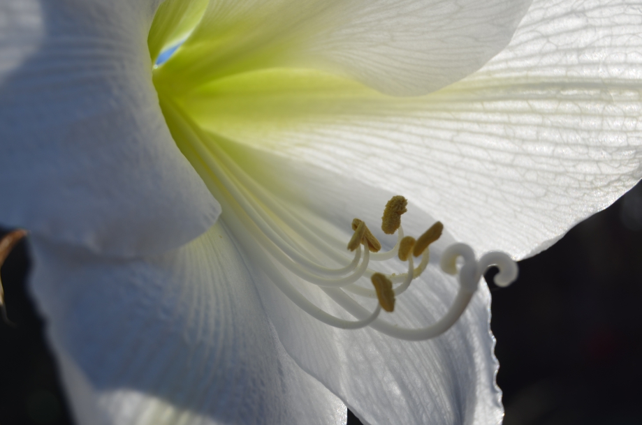 DSC_0131.JPG