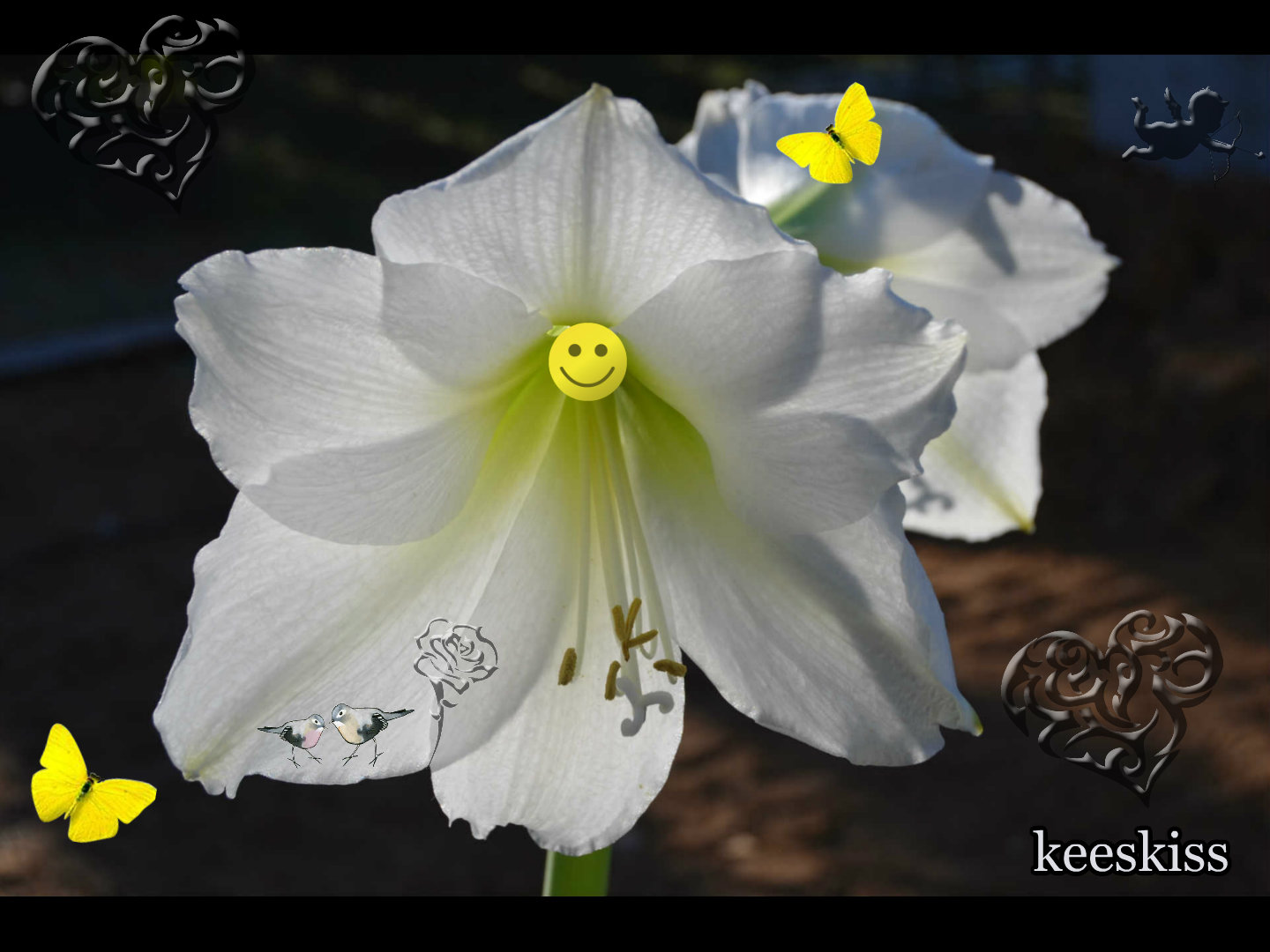www.kizoa.com_collage_2016-01-25_20-40-33.jpg