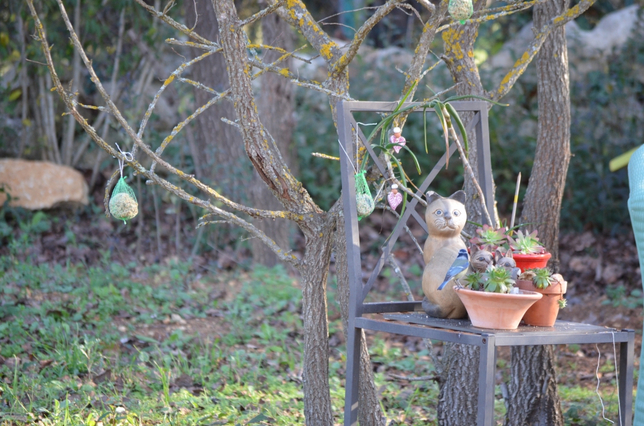 DSC_0073.JPG