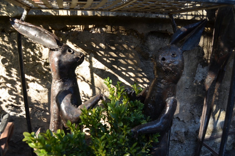 DSC_0021.JPG