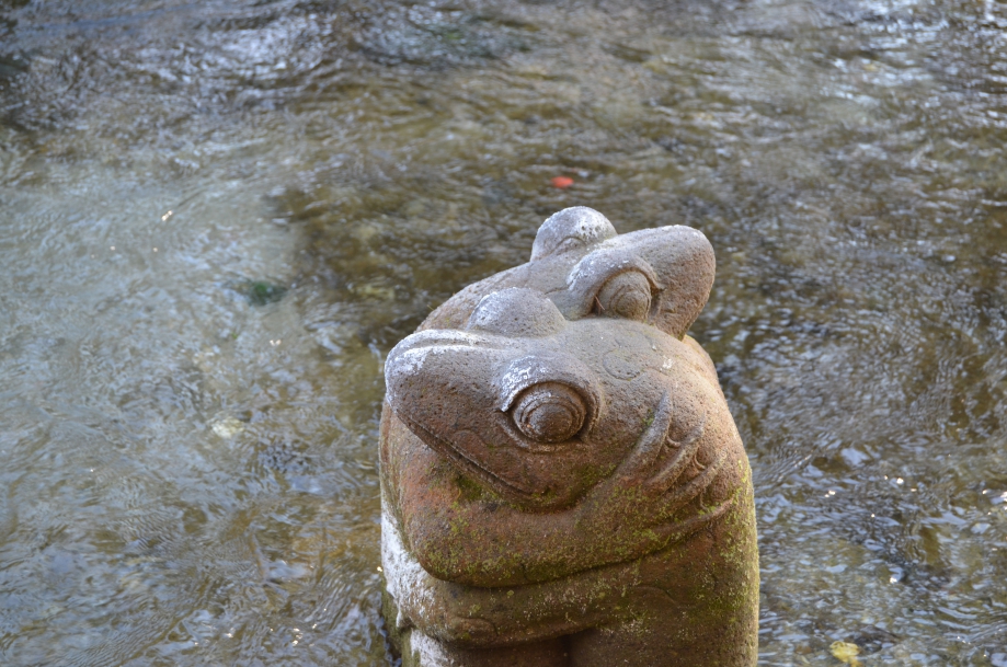 DSC_0023.JPG