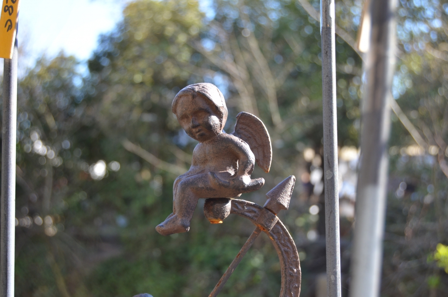 DSC_0015.JPG