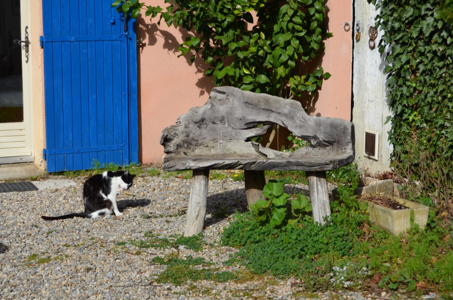 DSC_0044.JPG