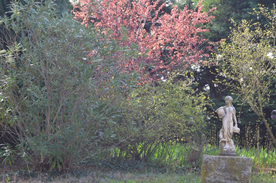 DSC_0045.JPG