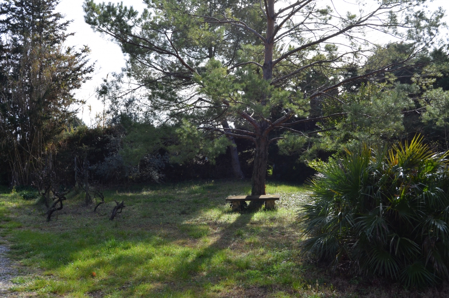 DSC_0047.JPG