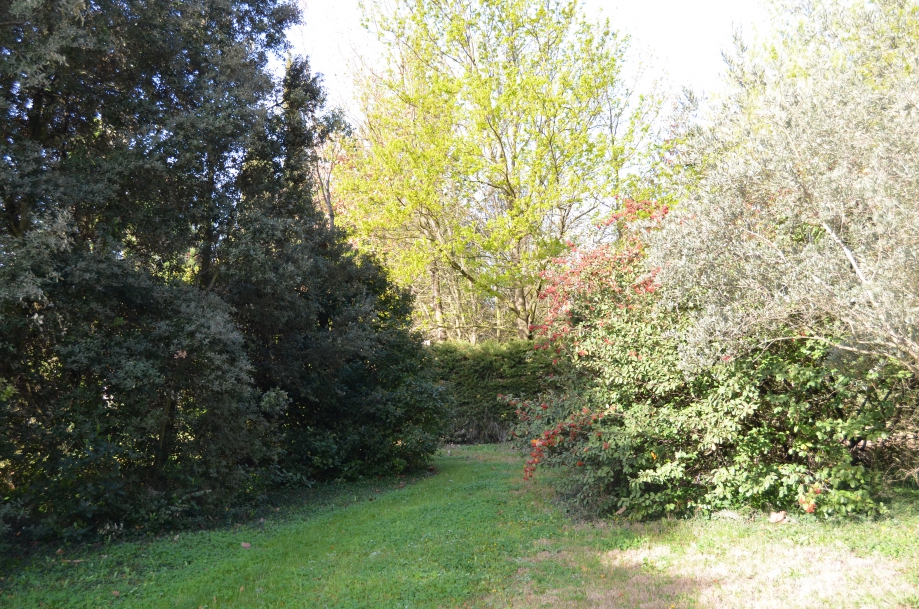 DSC_0049.JPG