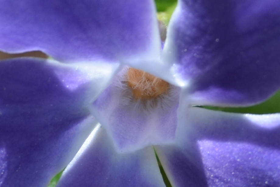 CSC_0118.JPG