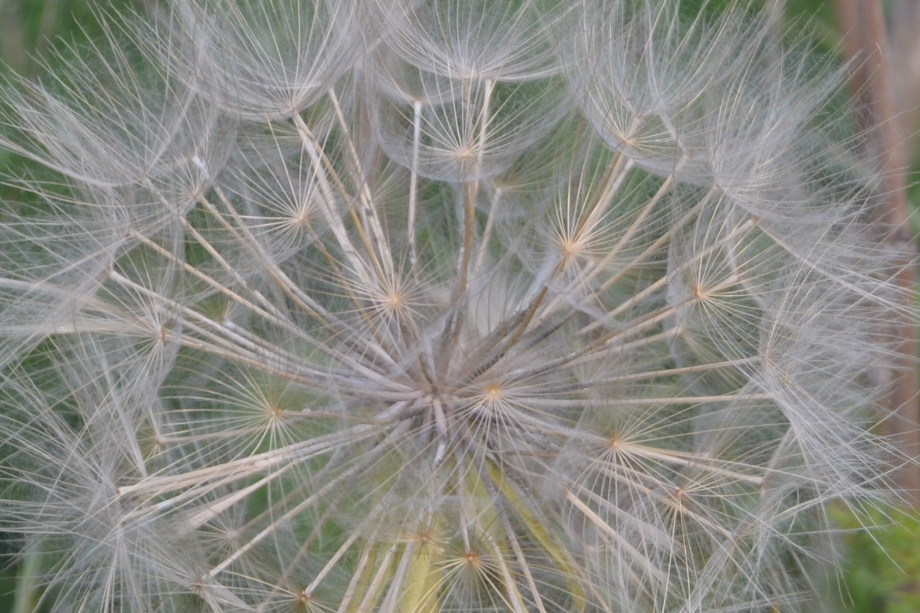 CSC_0114.JPG