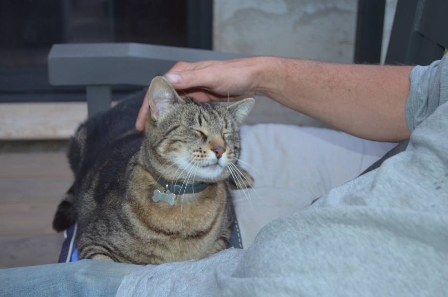 DSC_0146.JPG