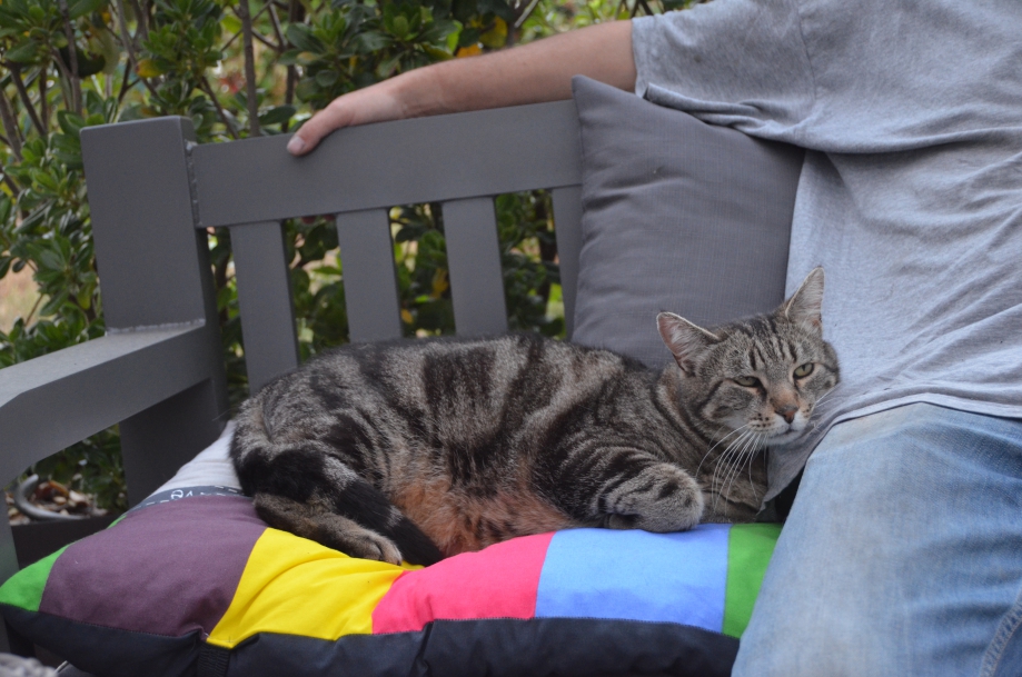 DSC_0157.JPG