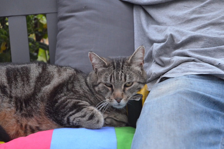 DSC_0162.JPG