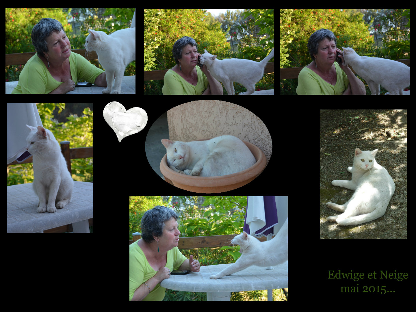 www.kizoa.com_collage_2015-05-29_19-21-28.jpg