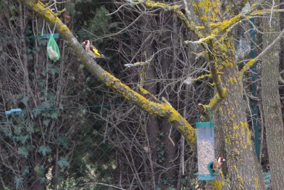 CSC_0105.JPG