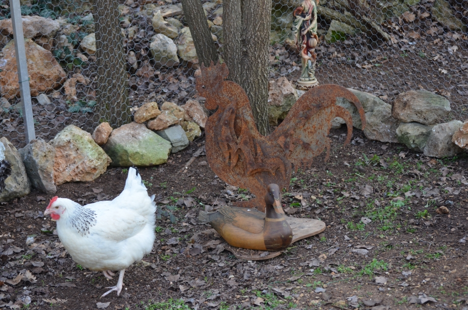 DSC_0043.JPG