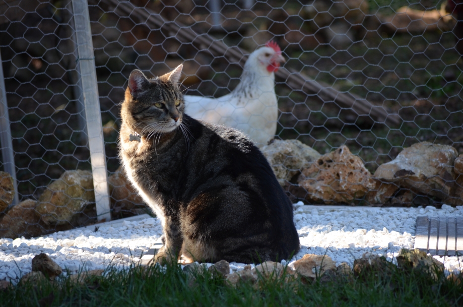 DSC_0057.JPG