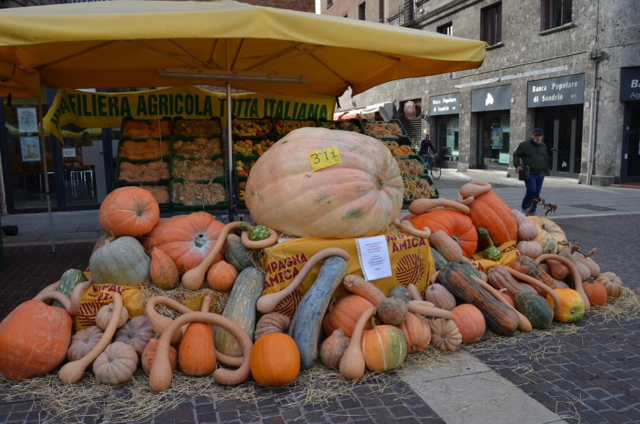 DSC_0041.JPG