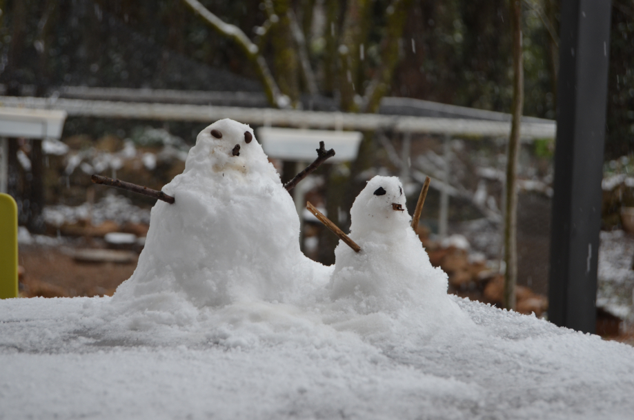 DSC_0060.JPG