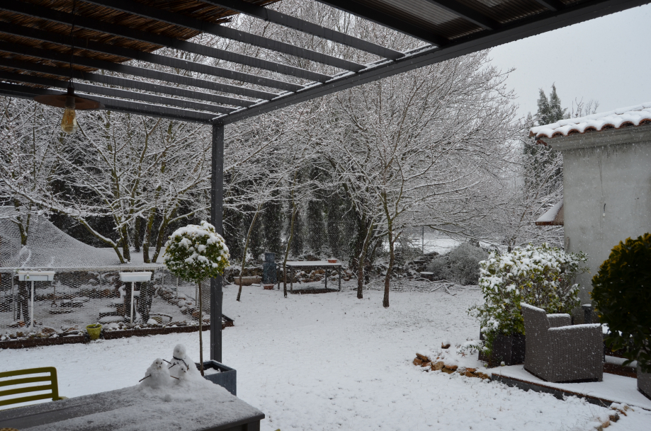 DSC_0072.JPG