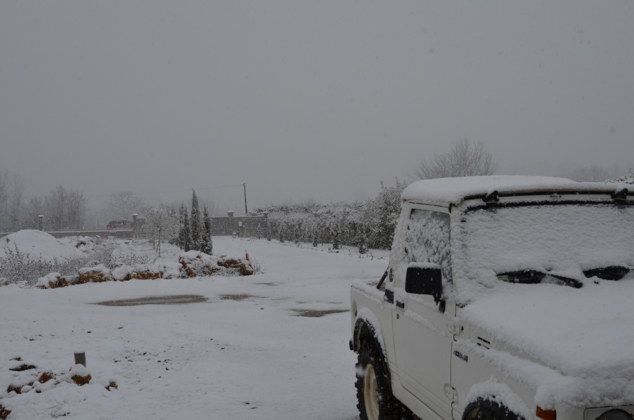 DSC_0077.JPG