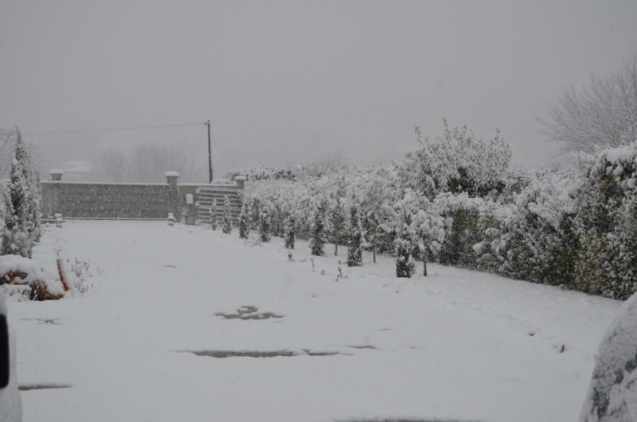 DSC_0087.JPG