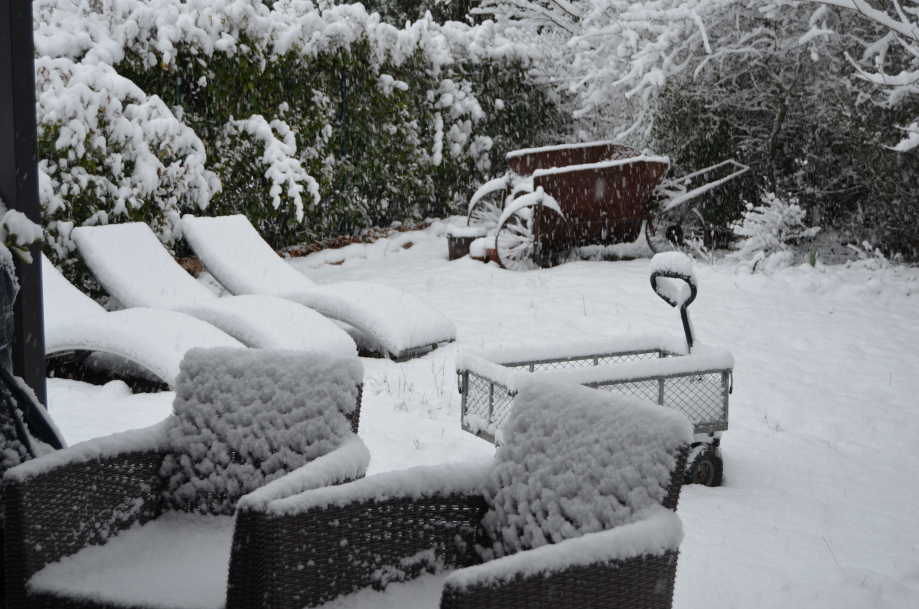 DSC_0096.JPG