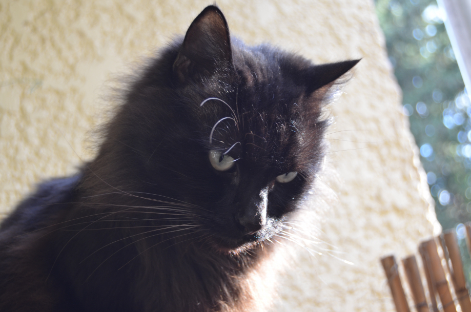 NOV 2013 a classer 084.jpg