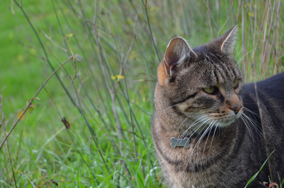 DSC_0417.JPG