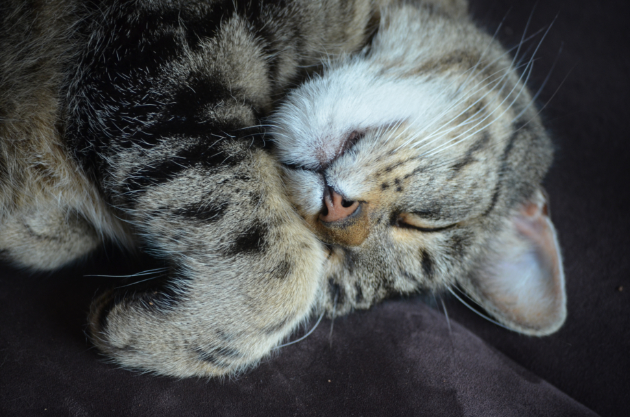 DSC_0046.JPG
