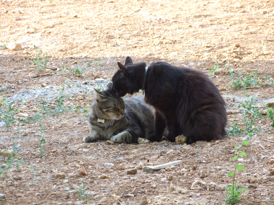 DSCF1170.JPG