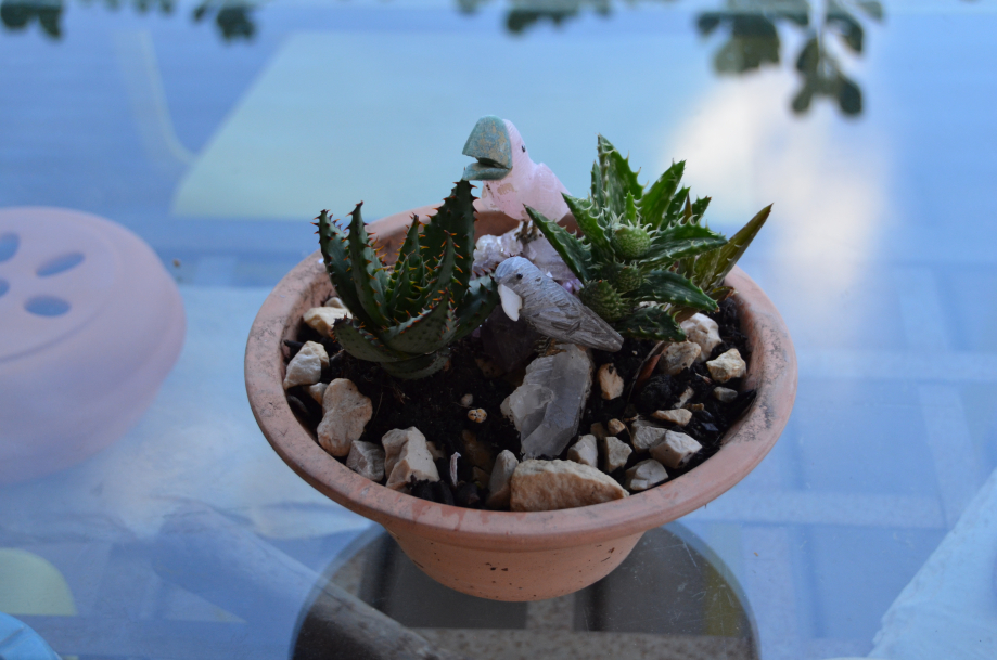DSC_0045.JPG