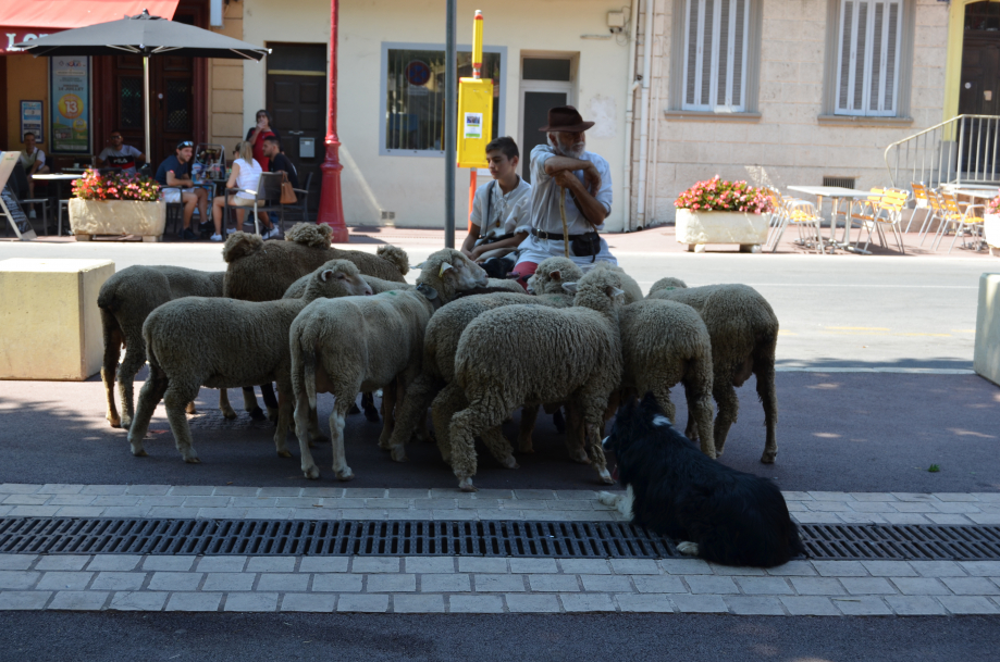 DSC_0117.JPG