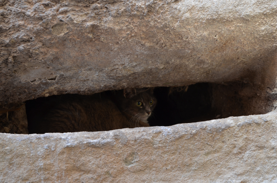 DSC_0192.JPG