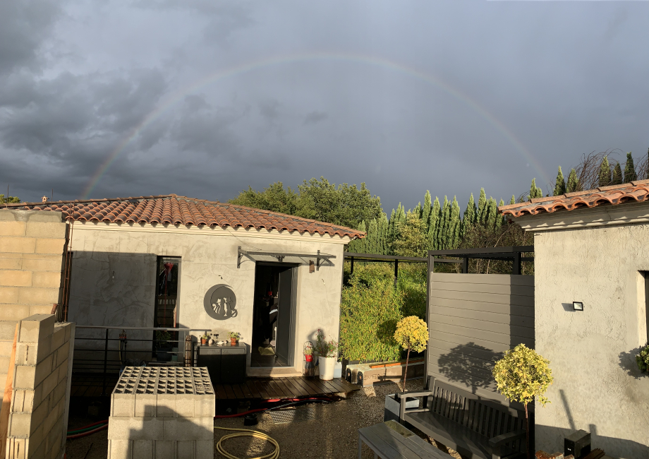 64609BD0-1402-48E5-802C-DE2264E01591.jpeg