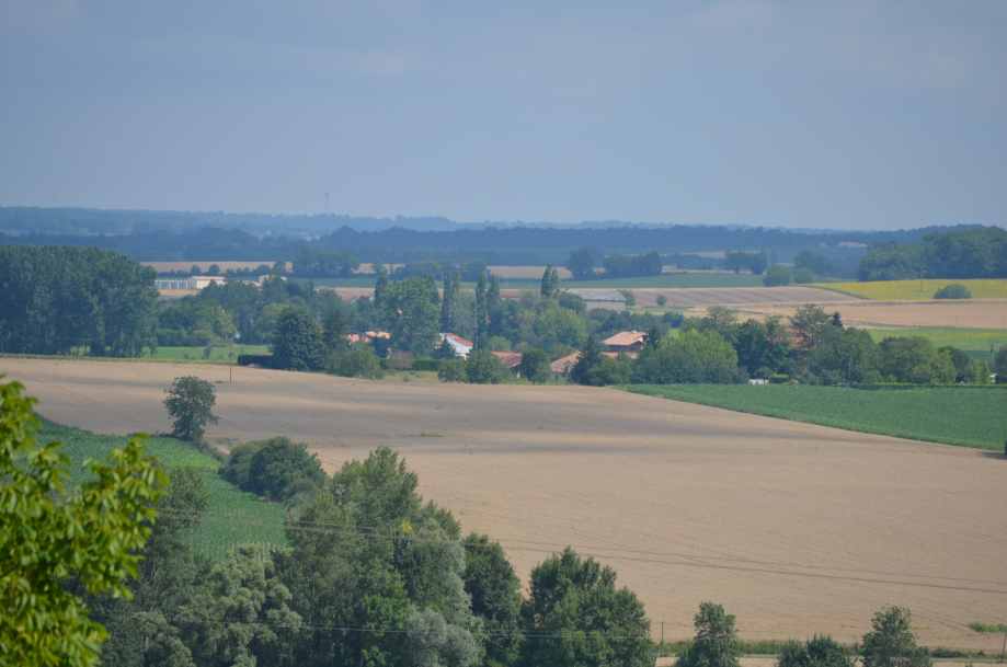 juillet 2014  01 088.jpg