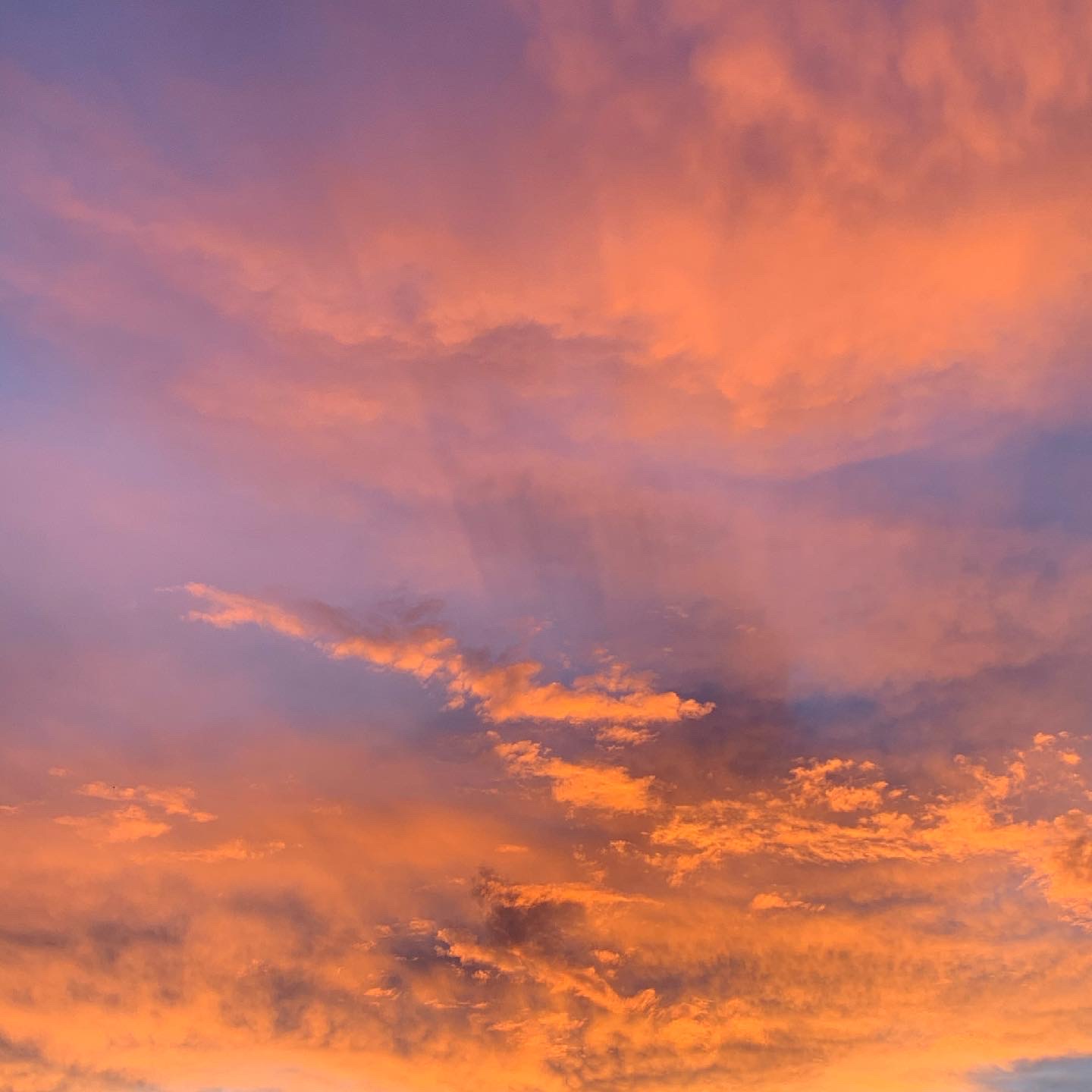 B2555653-3C96-445B-91AE-71513B97A969.jpeg