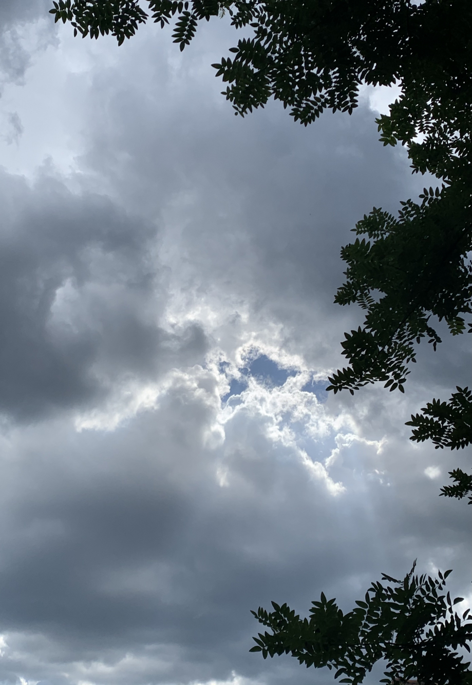 46D3A209-4539-48AD-B162-E315EB83124C.jpeg