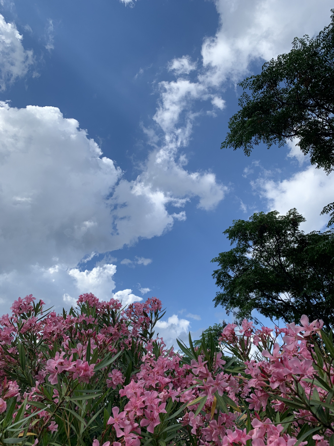 7A472C65-673D-4FE1-8EF7-8F6BD5855A26.jpeg