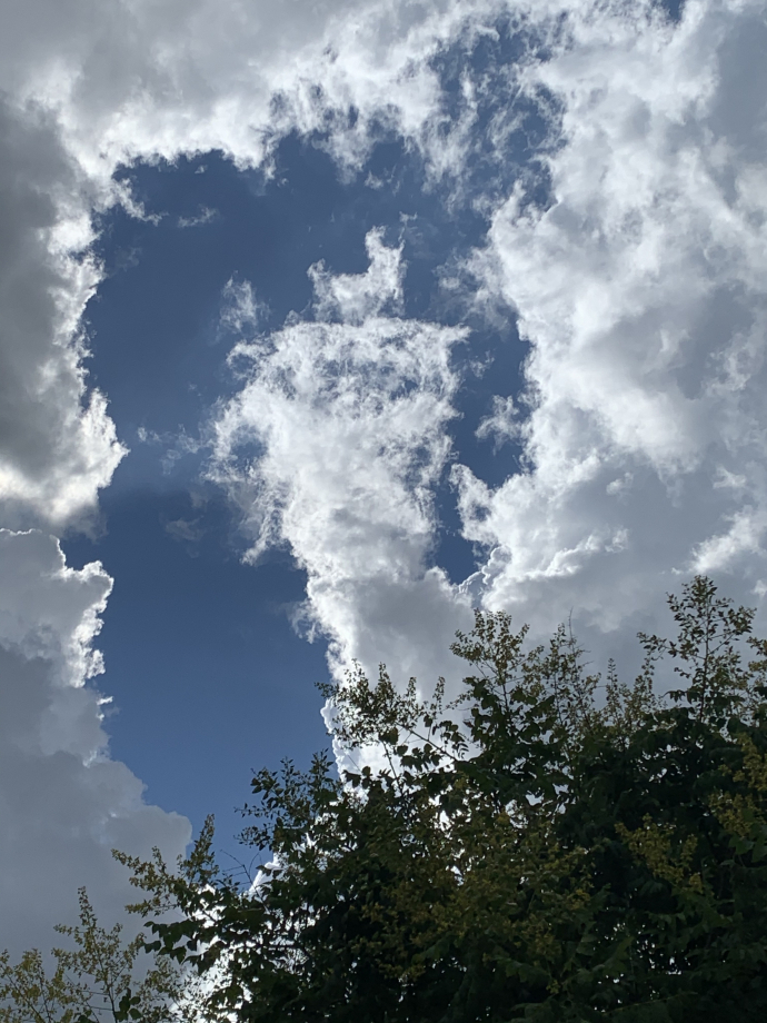 D79628D8-F0E3-4EDB-A0F5-2FD52EDA99C9.jpeg