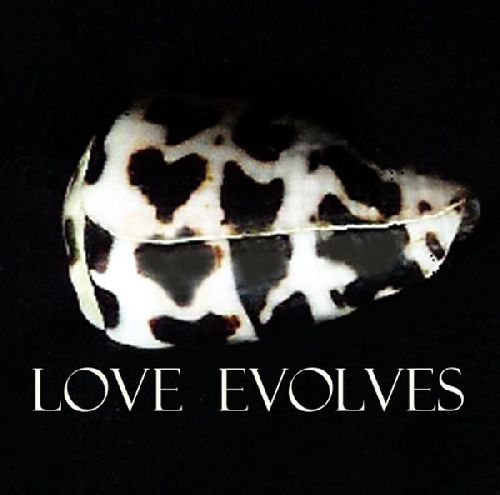 Love Evolves